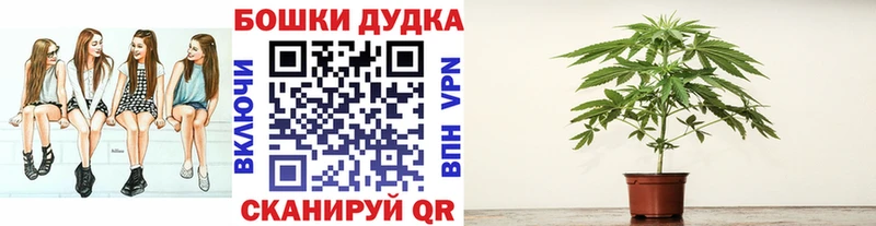 МАРИХУАНА Amnesia  Кущёвская 